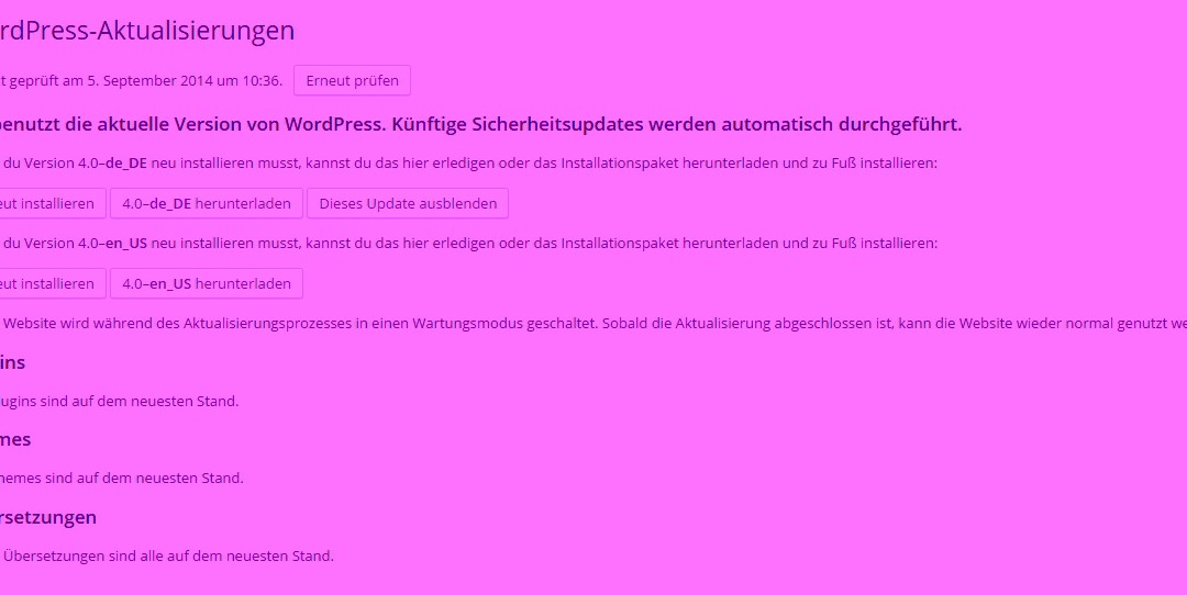 Hilfe mit dem WordPress 4.0 Update