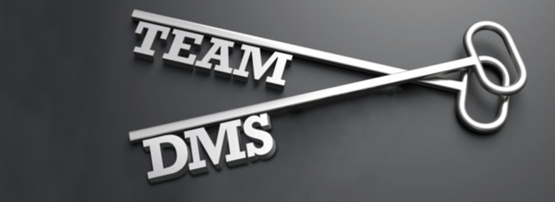 teamdms projektmanagement und teamwork aus mainz